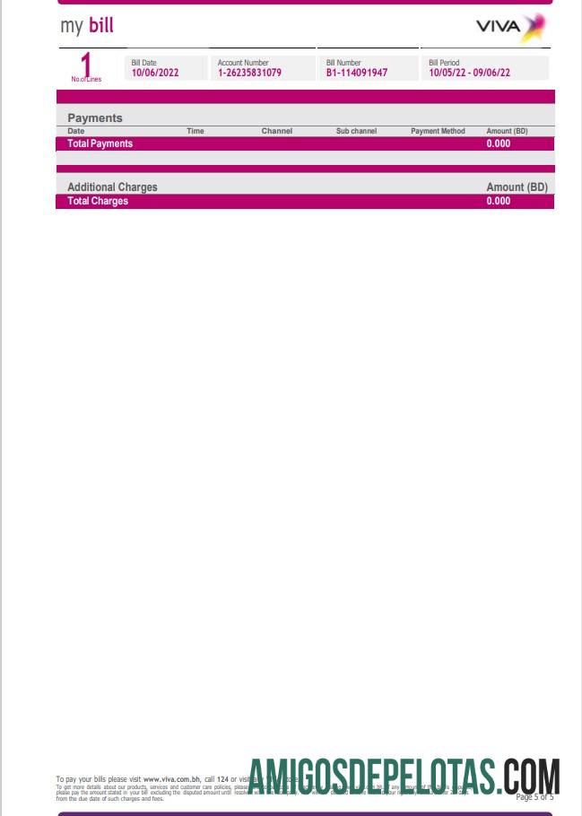 imprimível Bahrain Viva Minha conta de serviços públicos modelo Word e PDF, 5 páginas 5